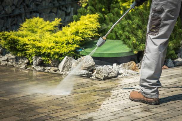 Best Driveway Pressure Washing  in Pittston, PA