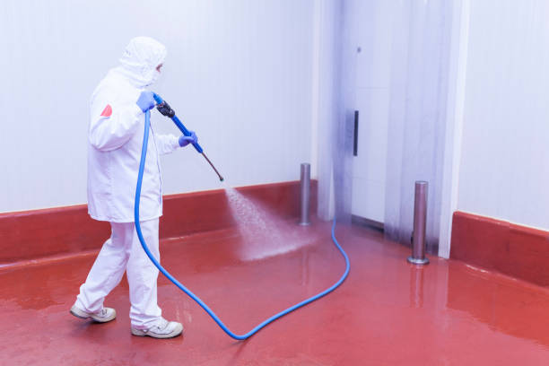 Best Winterizing Services  in Pittston, PA